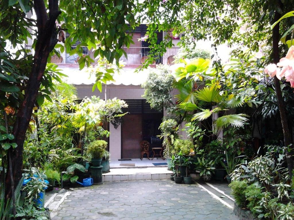 Seno Hotel 2*