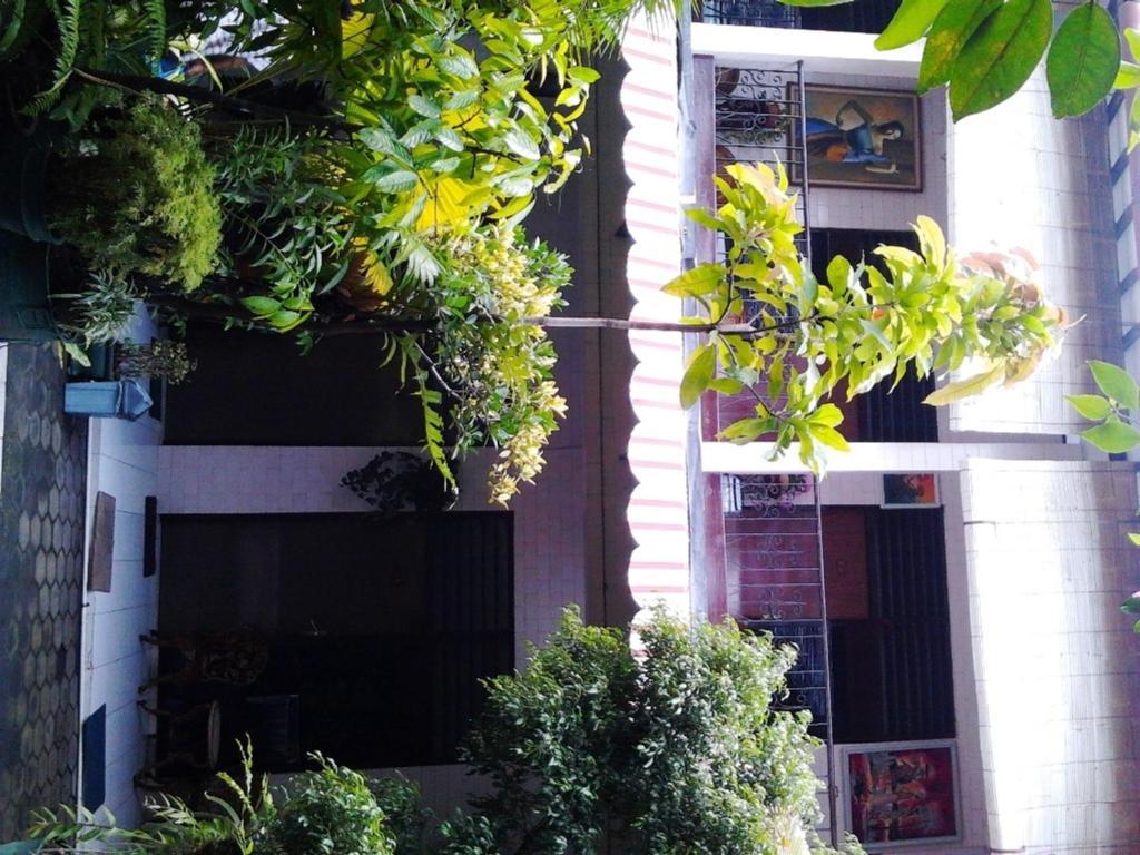 Hotel Seno 2*