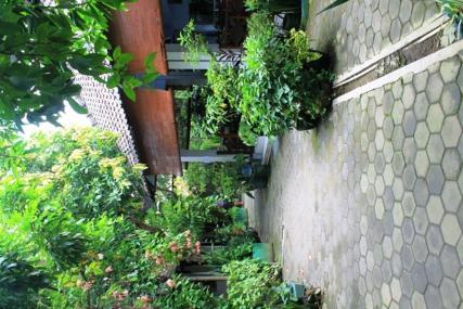 Seno Hotel Yogyakarta
