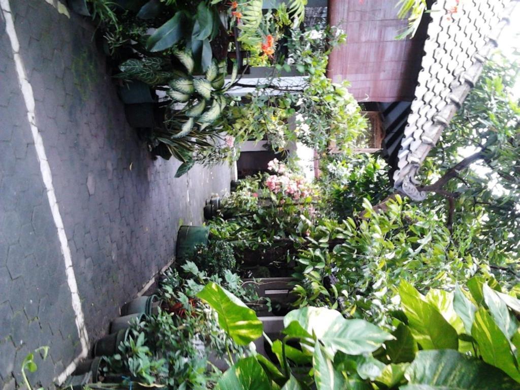 Hotel Seno 2*