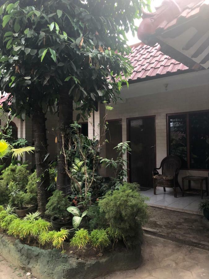 Seno Yogyakarta